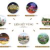 WILTON LIEN KET VUNG