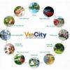 vincity quan 9 1