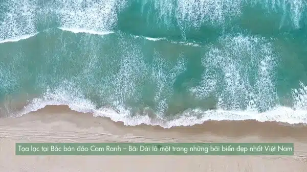 para draco cam ranh 10 1