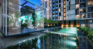 ascent garden homes 6