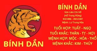 sinh nam 1986 hop huong nha nao