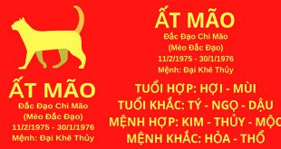 sinh nam 1975 at mao hop huong nha nao