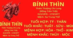 sinh nam 1976 binh thinh hop huong nha nao