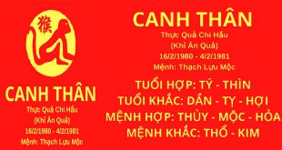 sinh nam 1980 canh than hop huong nha nao