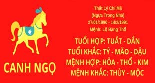 sinh nam 1990 canh ngo hop huong nha nao