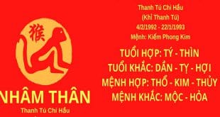 sinh nam 1992 nham than hop huong nha nao