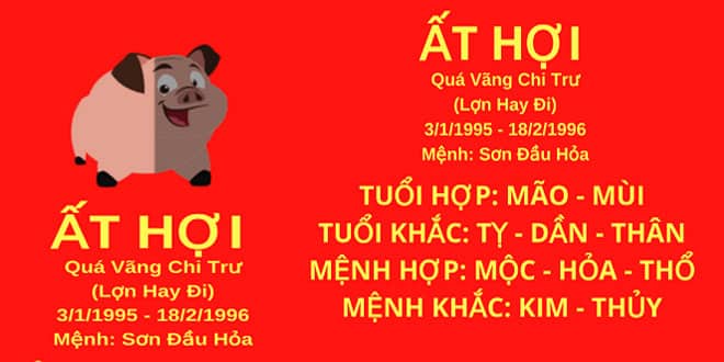 sinh nam 1995 at hoi hop huong nha nao