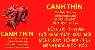 sinh nam 2000 canh thinh hop huong nha nao