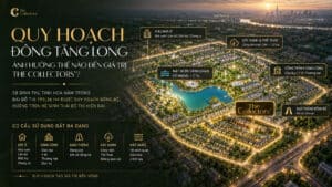 Quy Hoạch Đông Tăng Long Ảnh Hưởng Thế Nào Đến The Collectors'?